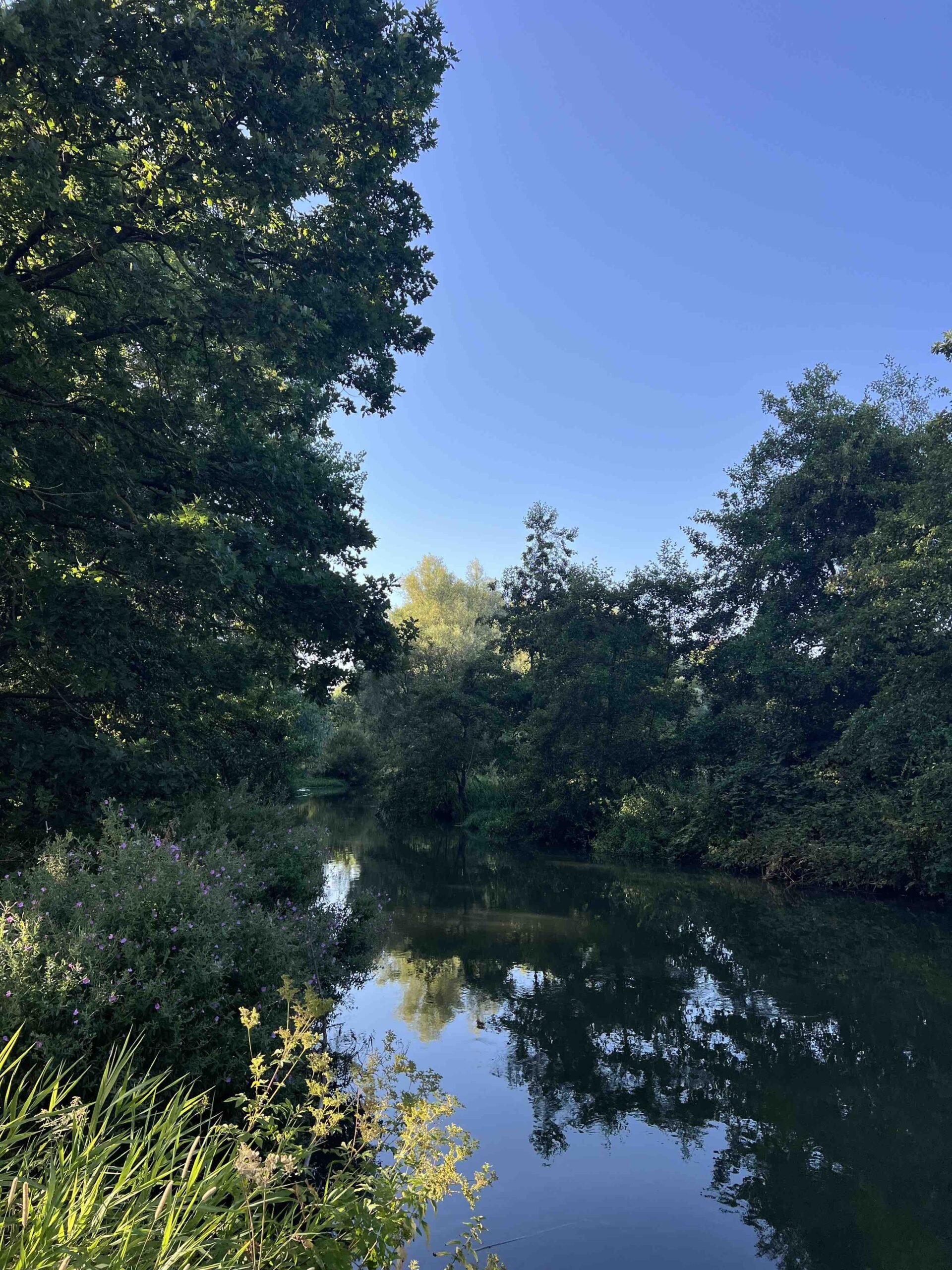 Kromme Rijn_Bunnik_rivier_endless rivers