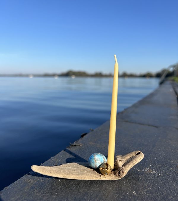Dolphin Wisdom - meditation beacon