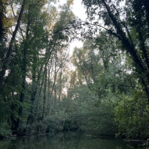 Kanotocht-Kromme Rijn-Bunnik-endless rivers - paulinegispen